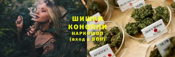 стаф Бердск