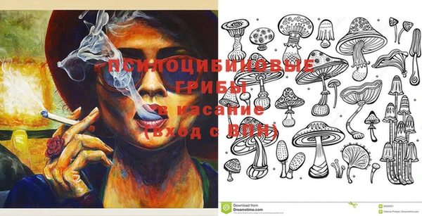 PSILOCYBIN Алексеевка