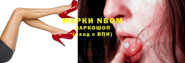 стаф Абаза