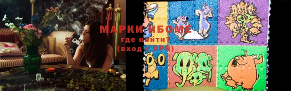 стаф Абаза